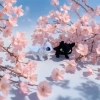 Plush toys + white dragons and black dragons details Picture